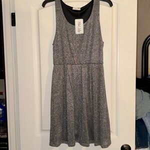 NWT EVERLY Silver Sparkles Dress